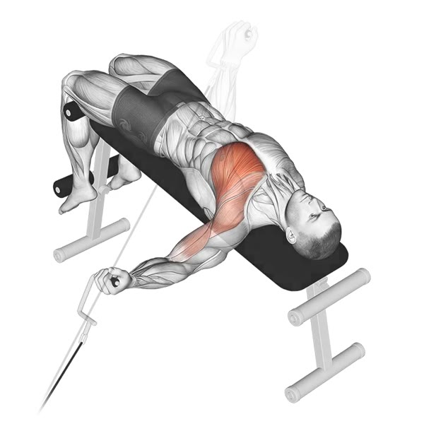 Isolated Decline Opening with Pulley — ejercicio de General, nivel Intermedio