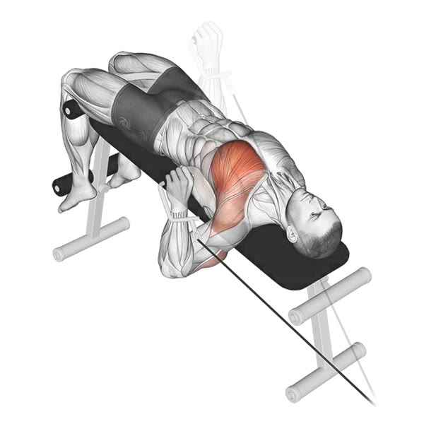 Isolated Decline Press with Pulley — ejercicio de Pecho, nivel Intermedio