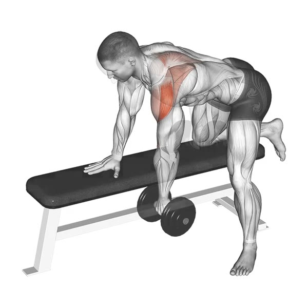Isolated Dumbbell Incline Row — ejercicio de Espalda, nivel Intermedio