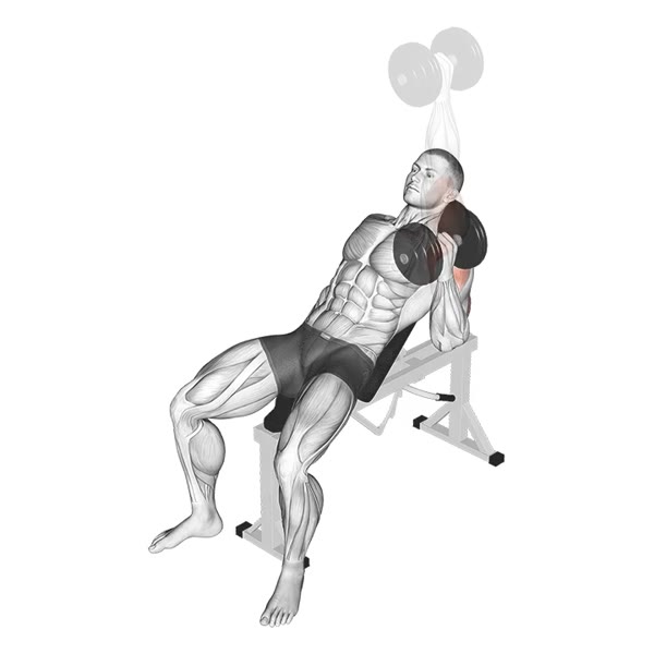 Isolated Incline Dumbbell Press — ejercicio de Tríceps, nivel Intermedio