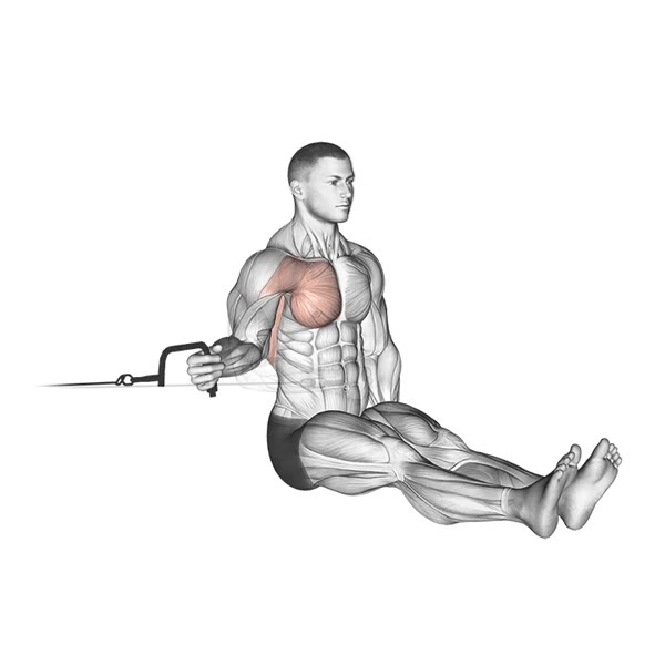Isolated Internal Rotation on Pulley — ejercicio de Hombros, nivel Intermedio