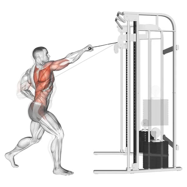Isolated Inverted Pulley Row — ejercicio de Espalda, nivel Avanzado