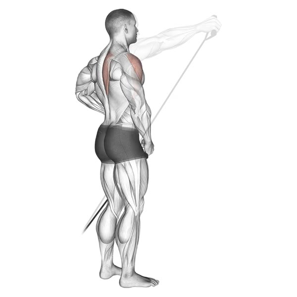 Isolated Lateral Lift with Band — ejercicio de General, nivel Intermedio
