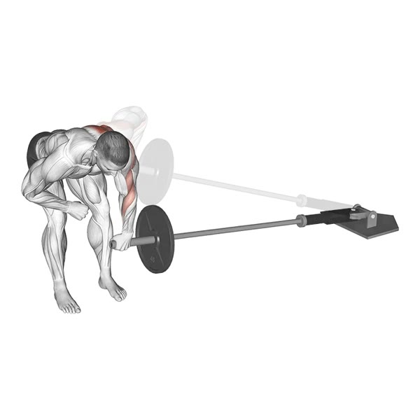 Isolated Oar on Point — ejercicio de General, nivel Intermedio