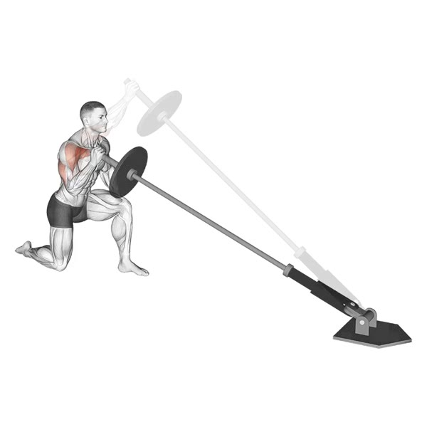 Isolated Press on Tip — ejercicio de General, nivel Intermedio