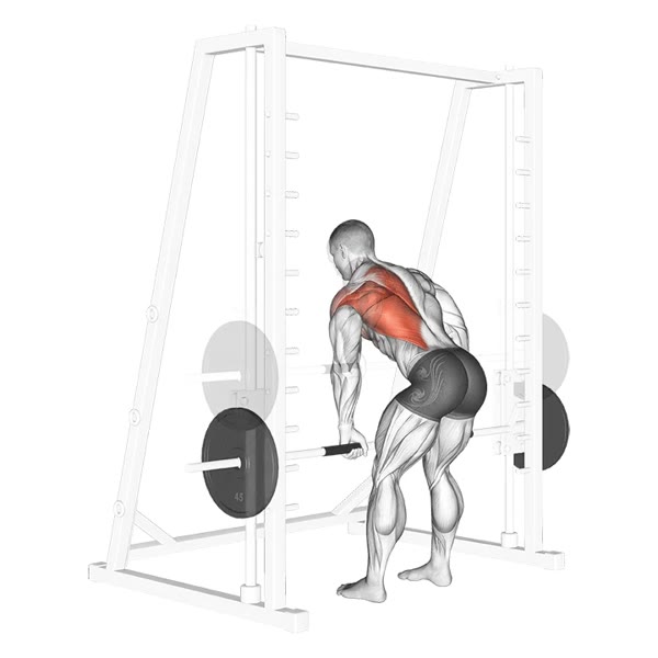 Isolated Pronated Row on Smith Machine — ejercicio de Espalda, nivel Intermedio