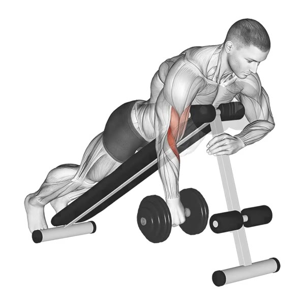 Isolated Pronated Spider Curl with Dumbbell — ejercicio de Bíceps, nivel Intermedio