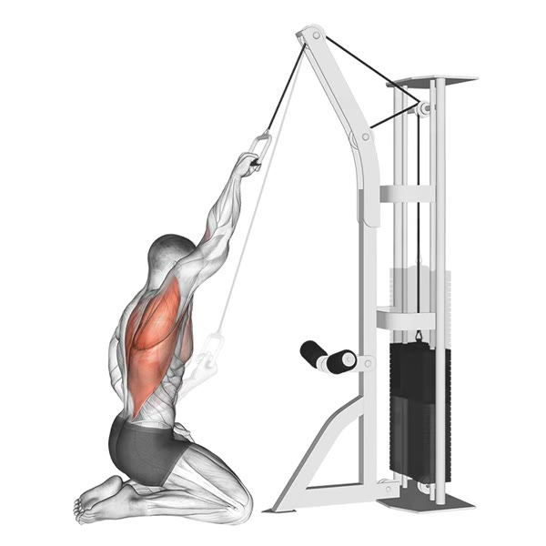 Isolated Prone Supine Pulldown on High Pulley — ejercicio de Espalda, nivel Intermedio