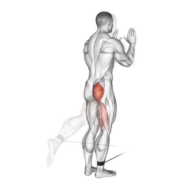 Isolated Rear Extension on Low Pulley — ejercicio de Pierna, nivel Intermedio