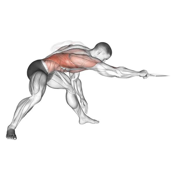 Isolated Rotation Row on Low Pulley — ejercicio de Espalda, nivel Intermedio