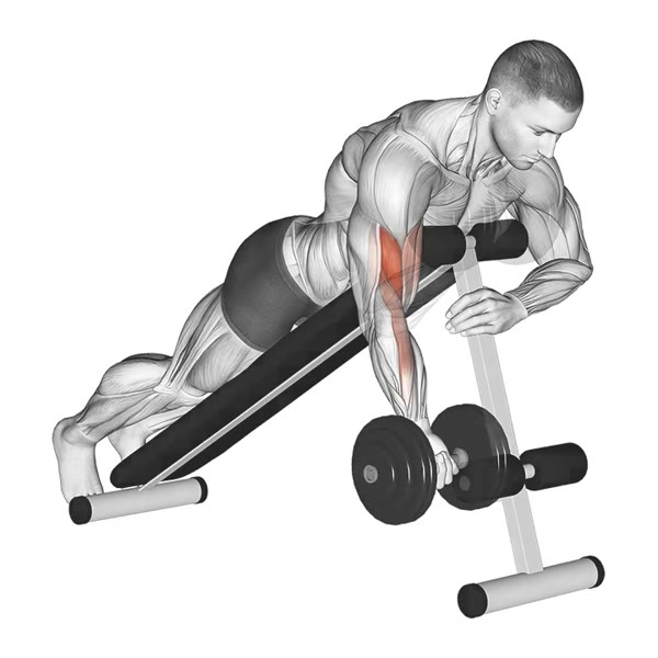 Isolated Spider Curl in Supination with Dumbbell — ejercicio de Bíceps, nivel Intermedio