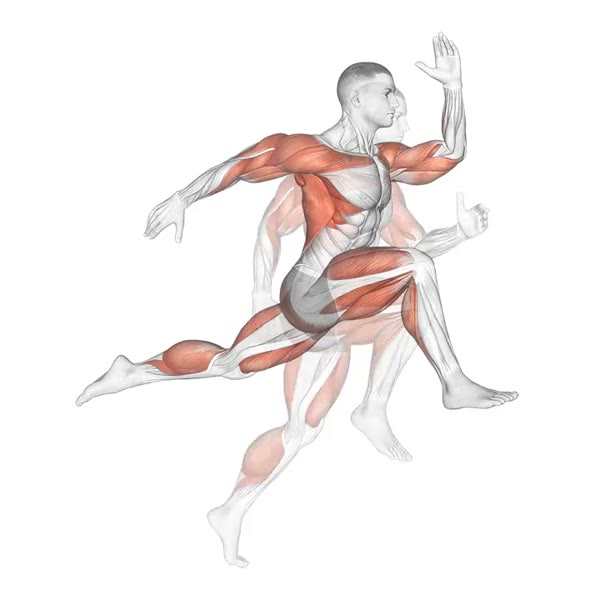 Jumping race — ejercicio de Cardio, nivel Intermedio