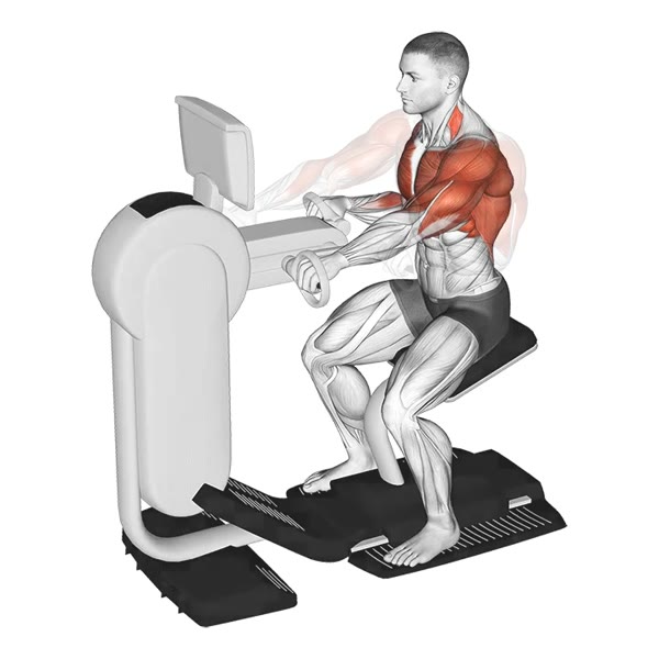 Krankcycle — ejercicio de General, nivel Principiante