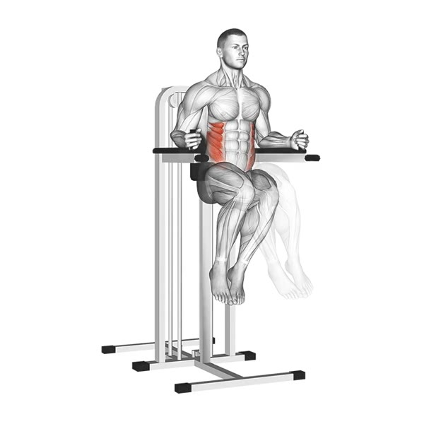 Lateral Crunch on support — ejercicio de Abdomen, nivel Intermedio