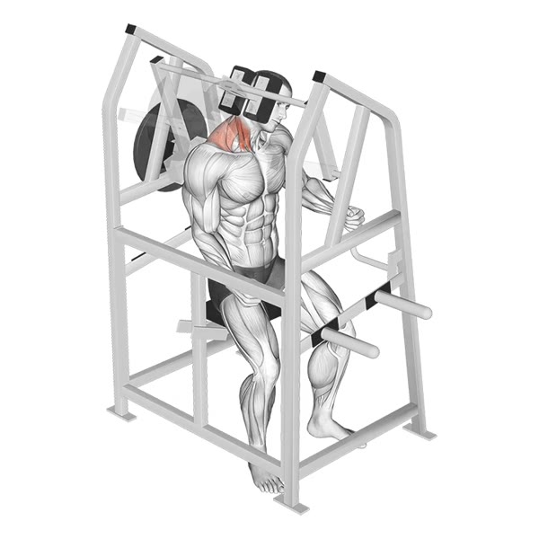 Lateral Extension on Machine — ejercicio de General, nivel Intermedio