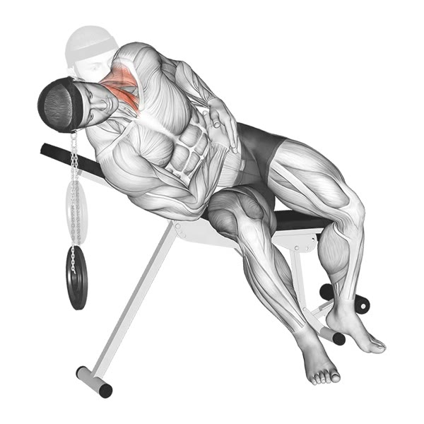 Lateral Extension with Harness — ejercicio de General, nivel Intermedio