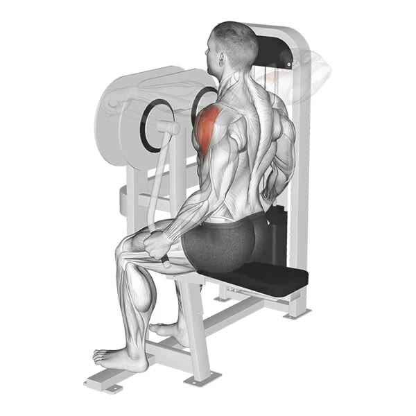 Lateral Machine Lifts — ejercicio de General, nivel Intermedio