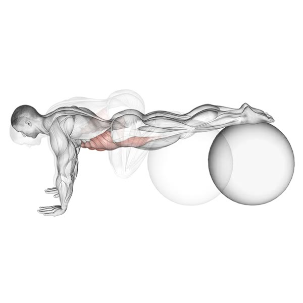 Leg raises on a Fitball — ejercicio de Abdomen, nivel Intermedio