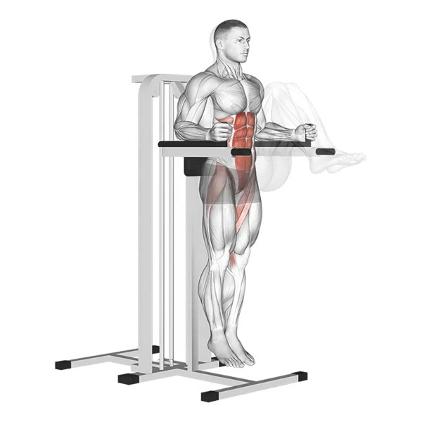 Leg raises with bent legs on support — ejercicio de Abdomen, nivel Intermedio
