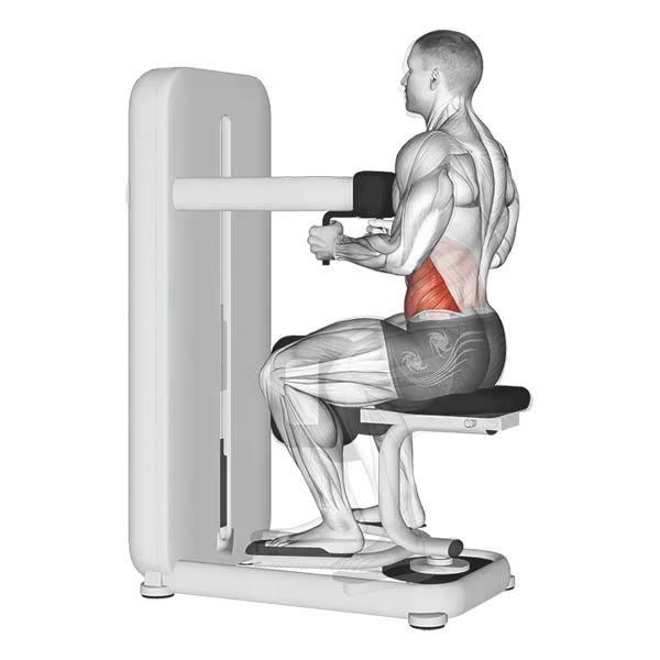 Lower Oblique Rotations on Machine — ejercicio de Abdomen, nivel Intermedio