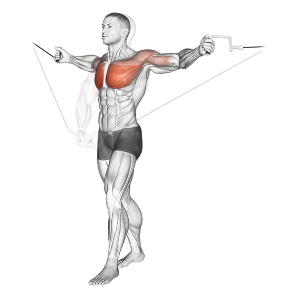 Lower pulley crossover — ejercicio de General, nivel Intermedio