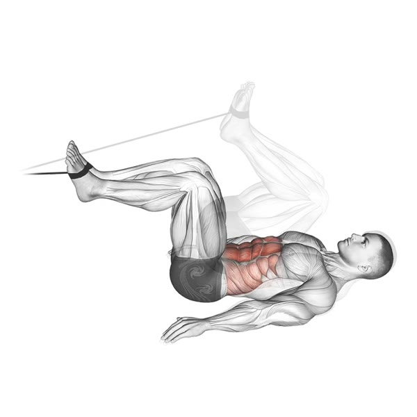 Lower Pulley Crunch — ejercicio de Abdomen, nivel Intermedio