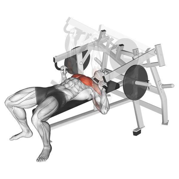 Machine Bench Press — ejercicio de Pecho, nivel Intermedio