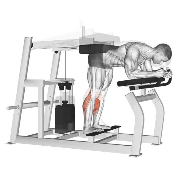 Machine Concentrated Twin Extension — ejercicio de General, nivel Intermedio