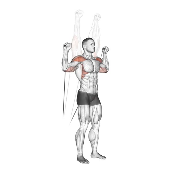 Military Press on Pulley — ejercicio de Hombros, nivel Intermedio