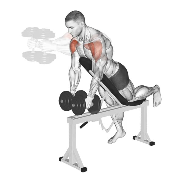 Neutral Decline Dumbbell Front Raises — ejercicio de Hombros, nivel Intermedio