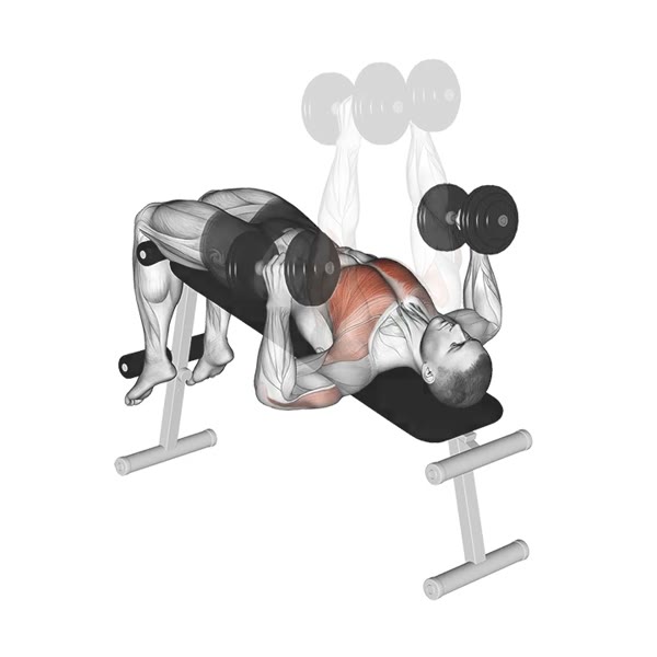 Neutral Decline Dumbbell Press — ejercicio de General, nivel Intermedio