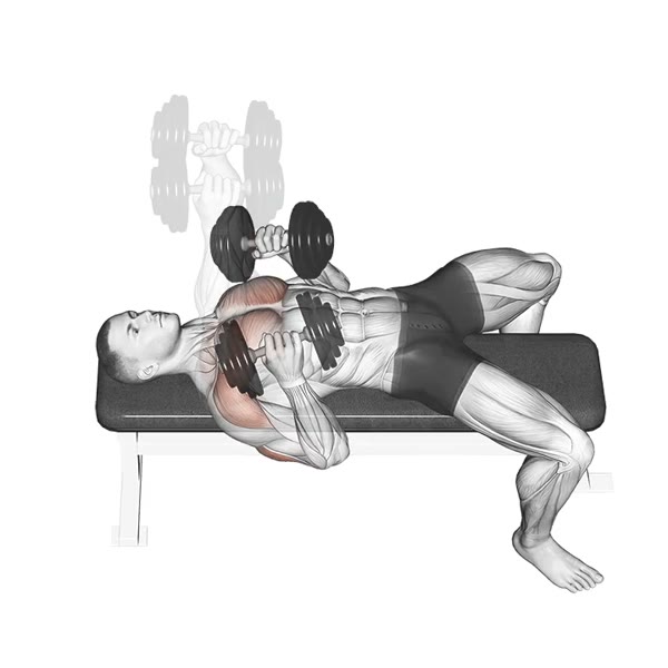 Neutral Dumbbell Bench Press — ejercicio de Pecho, nivel Intermedio