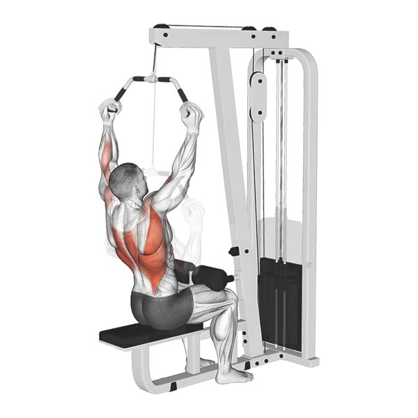 Neutral Open Pulldown on High Pulley — ejercicio de Espalda, nivel Intermedio