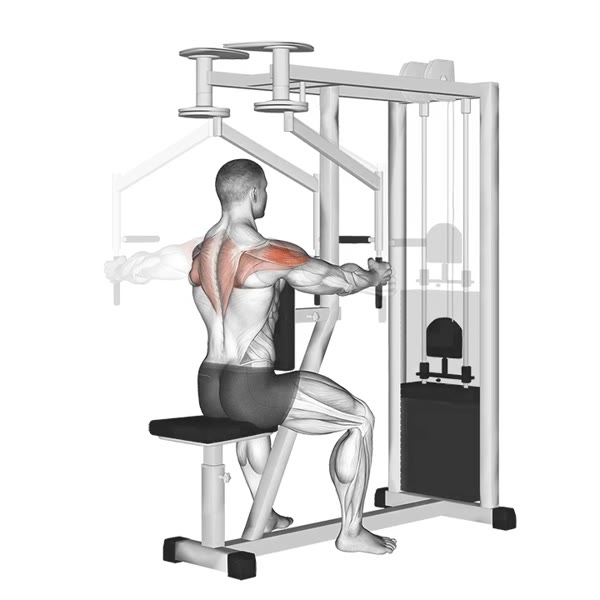 Neutral Rear Openings on Machine — ejercicio de General, nivel Intermedio