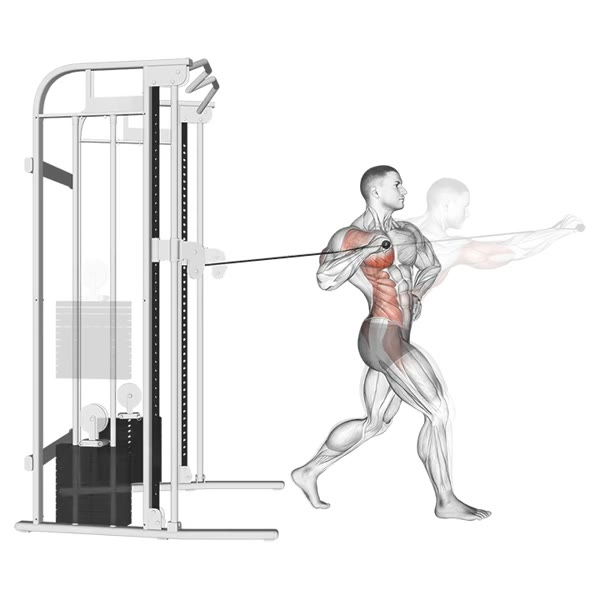 One Arm Front Press on Cable Machine — ejercicio de General, nivel Avanzado
