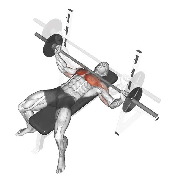 Open Bench Press with Barbell — ejercicio de Pecho, nivel Intermedio