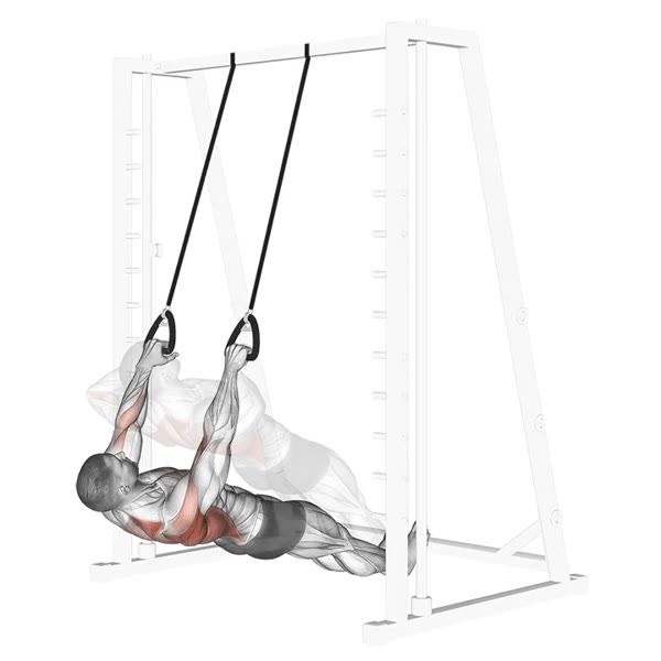 Open Horizontal Free Rowing with Ropes — ejercicio de Espalda, nivel Intermedio