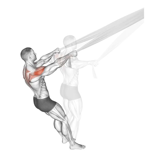 Open Incline Free Row with Rope — ejercicio de Espalda, nivel Intermedio
