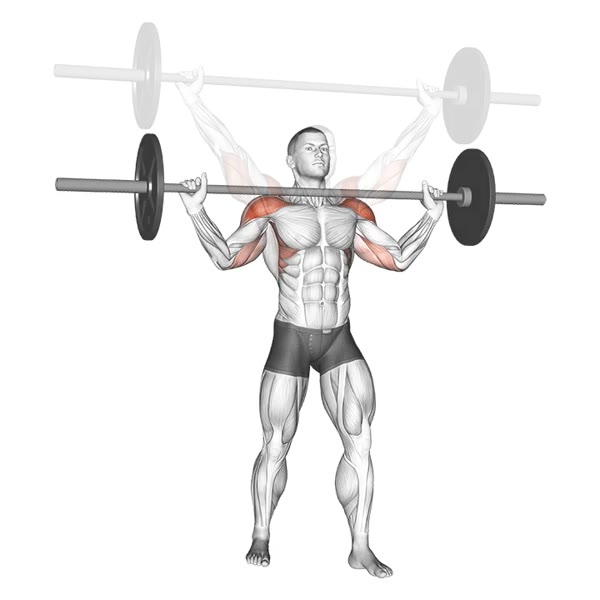 Open Military Press with Barbell — ejercicio de Hombros, nivel Intermedio
