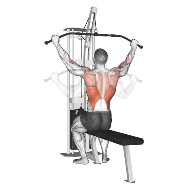 Open Pronation Lat Pulldown on High Pulley — ejercicio de Espalda, nivel Intermedio