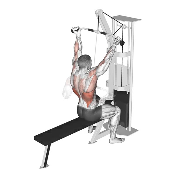 Open Supination Lat Pulldown on High Pulley — ejercicio de Espalda, nivel Intermedio