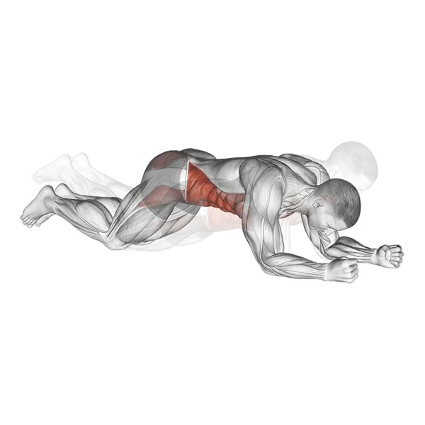Plank with knees — ejercicio de Abdomen, nivel Intermedio