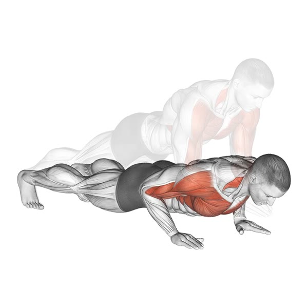 Plyometric Push ups with Clapping — ejercicio de Pecho, nivel Avanzado