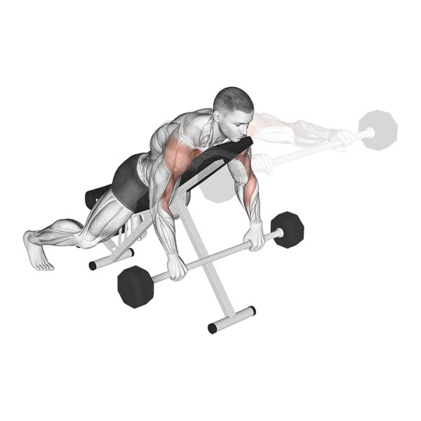 Pronated Decline Front Raise with Bar — ejercicio de Hombros, nivel Intermedio