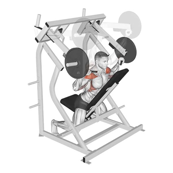 Pronated Decline Military Press on Machine — ejercicio de Hombros, nivel Intermedio