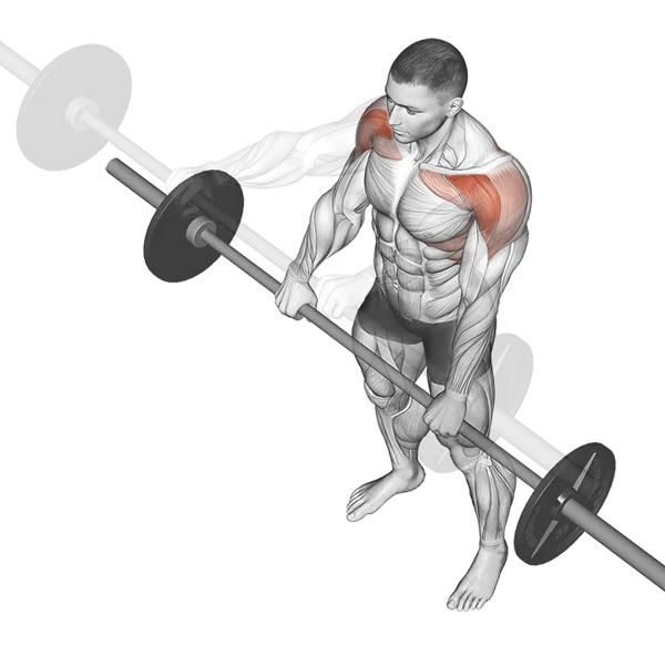 Pronated Front Raise with Bar — ejercicio de Hombros, nivel Intermedio