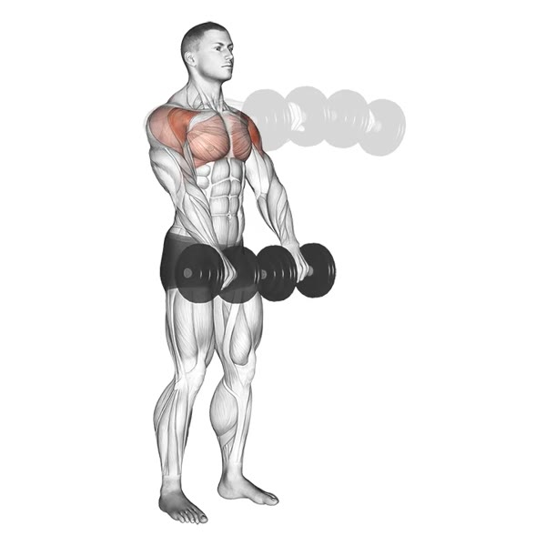 Pronated Front Raises with Dumbbells — ejercicio de Hombros, nivel Intermedio
