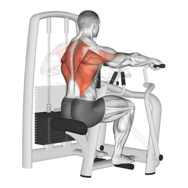 Pronated Horizontal Row on Machine — ejercicio de Espalda, nivel Principiante