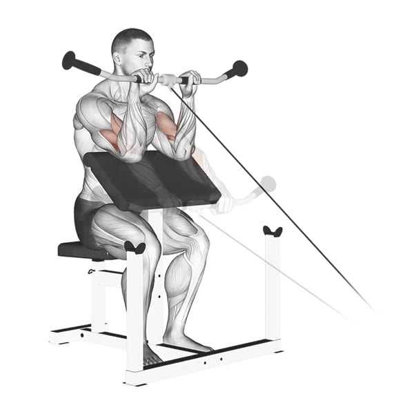 Pronated Scott Bench Curl with Pulley — ejercicio de Pecho, nivel Intermedio