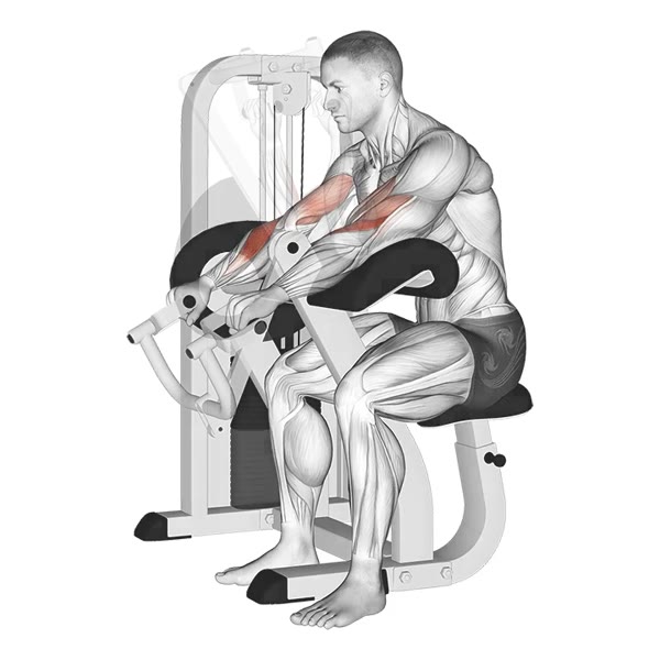 Pronation Curl on Scott Machine — ejercicio de Bíceps, nivel Intermedio